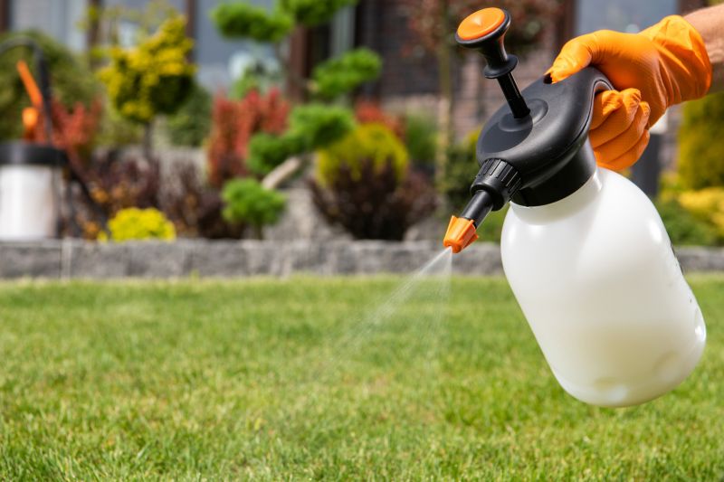 Lawn Fungus Treatment in Ventura County, CA