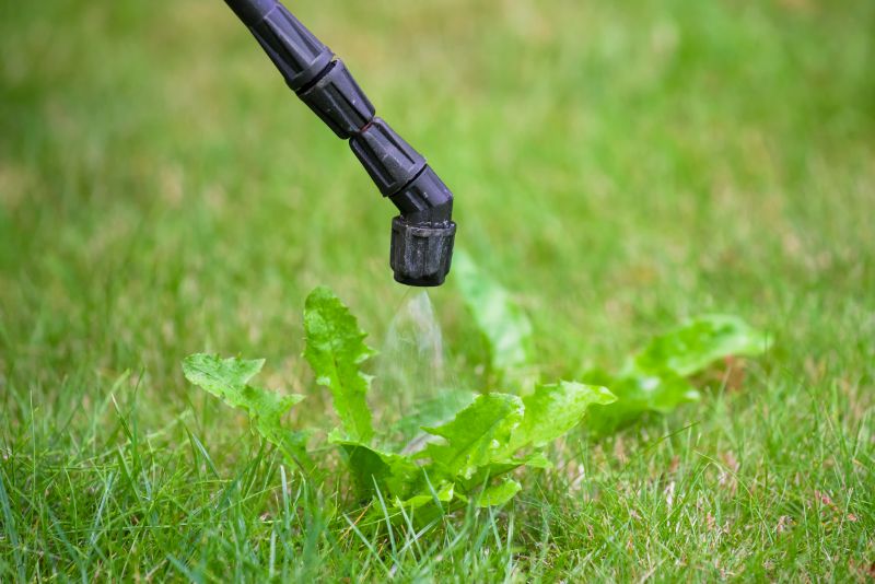 Crabgrass Prevention in Rockwall, TX