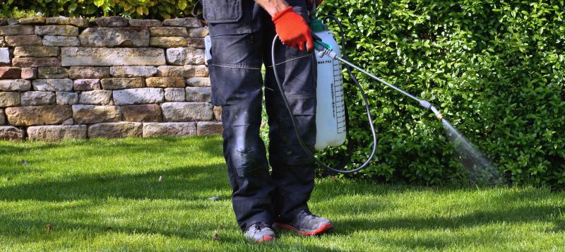 Crabgrass Removal in Ventura County, CA
