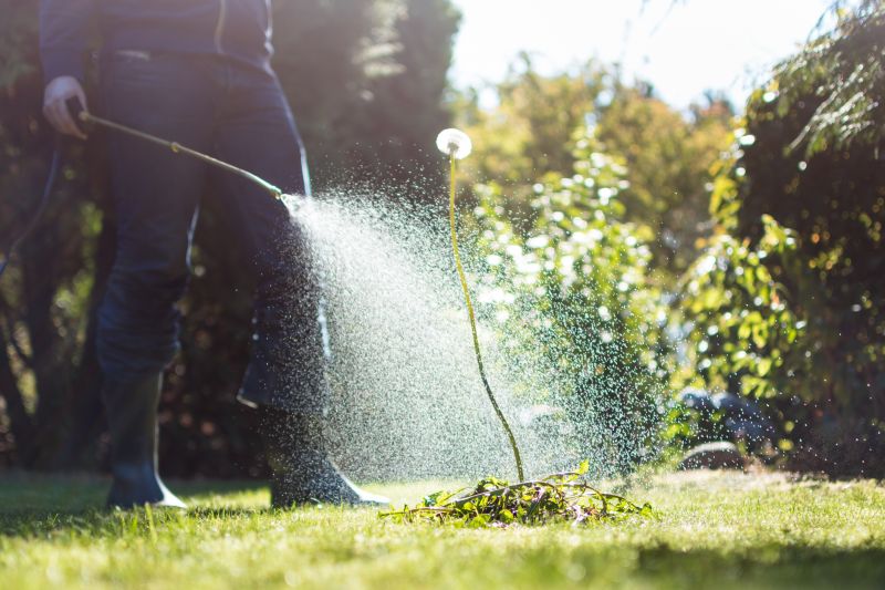Crabgrass Removal in Ventura County, CA