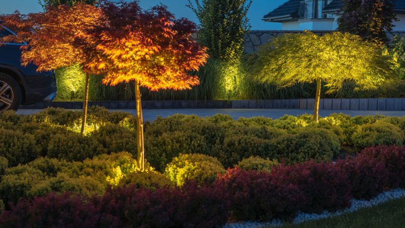 Driveway Lighting Installation in Olathe, KS