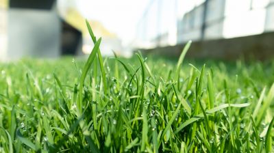 Lawn Fertilization Service in Honolulu, HI