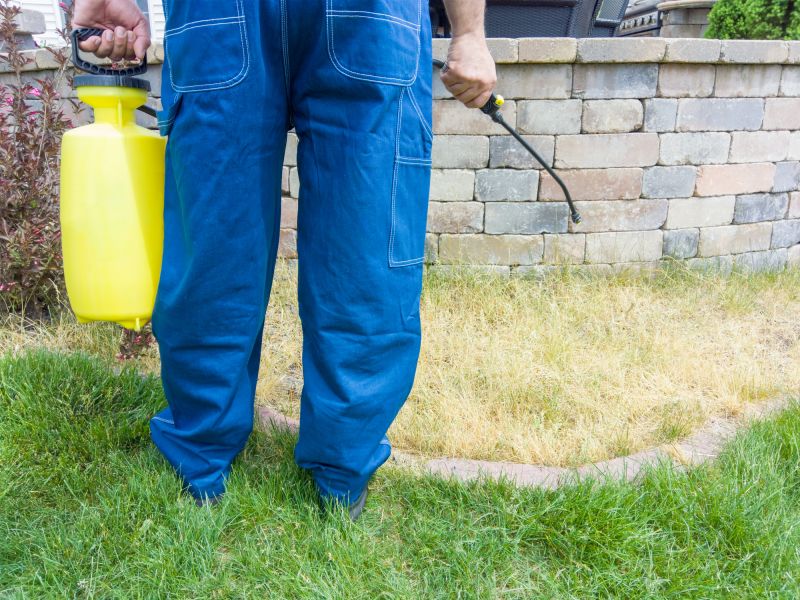 Lawn Fungus Treatment in Ventura County, CA