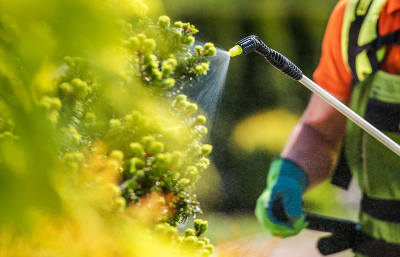 Lawn Herbicide Treatment in Ventura County, CA