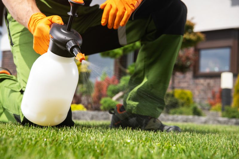 Lawn Weed Control in Honolulu, HI