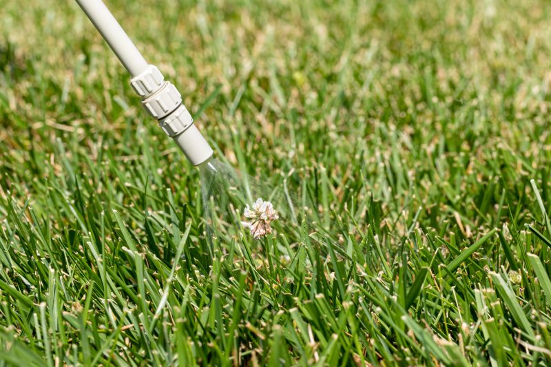 Lawn Weed Spraying in Honolulu, HI