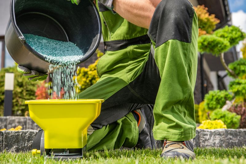 Spring Lawn Fertilizing in Ventura County, CA