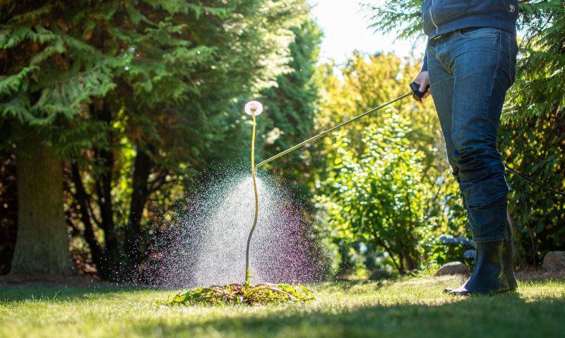 Thistle Treatment in Aiken, SC