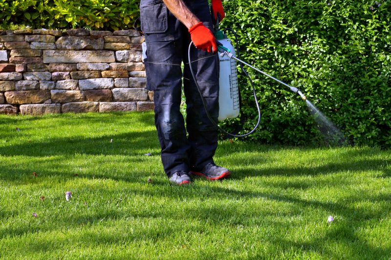 Weed Prevention Service in Rockwall, TX
