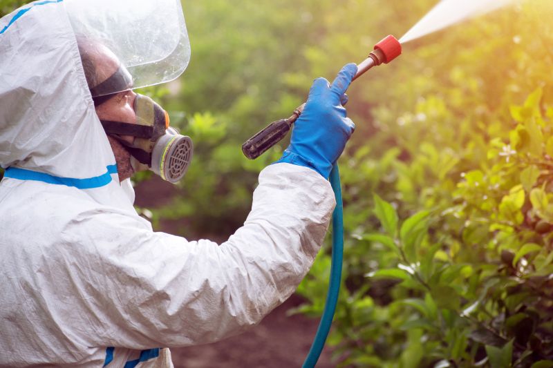 Weed Prevention Service in Honolulu, HI