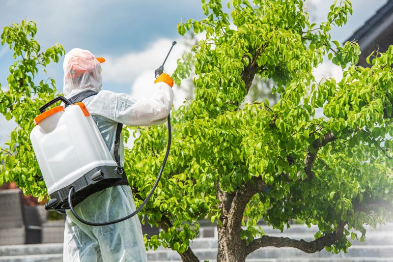 Weed Spraying in Rockwall, TX